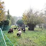 2 Апартаменты