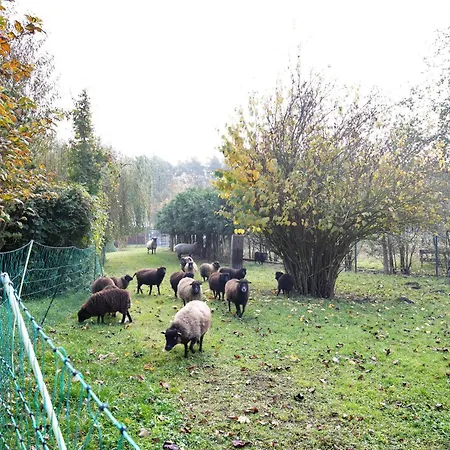 Lejlighed 2 Muncheberg