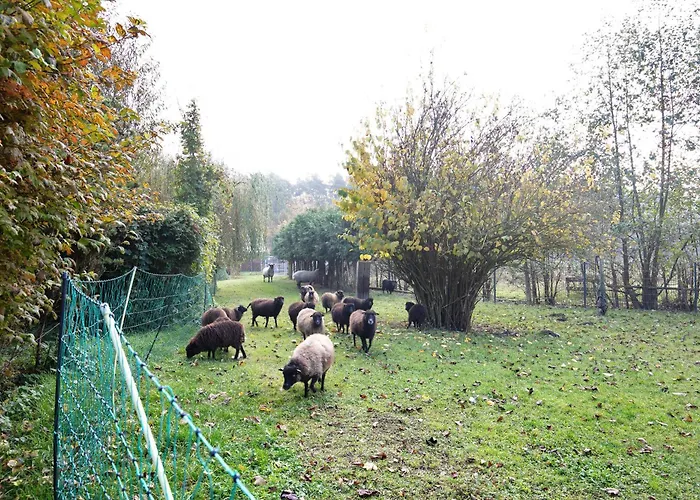 Lejlighed 2 Muncheberg